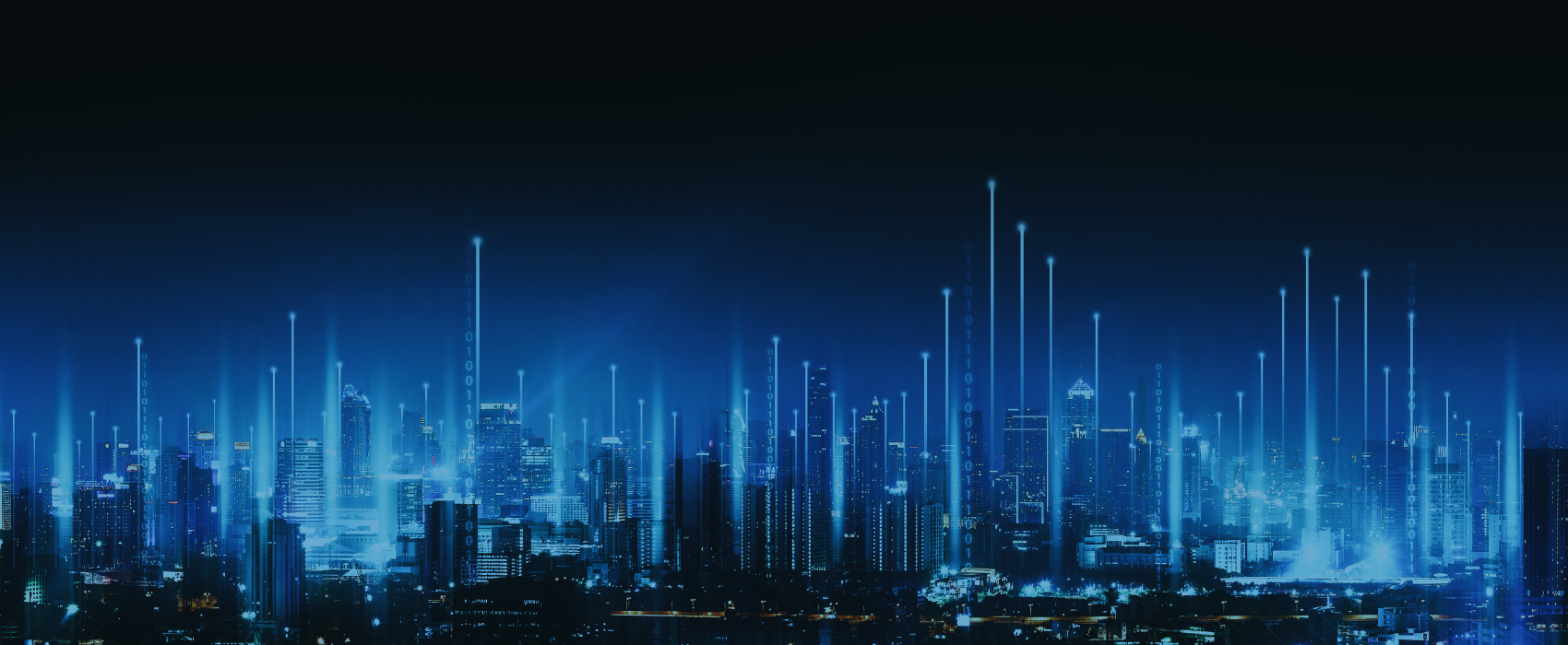 banner-image